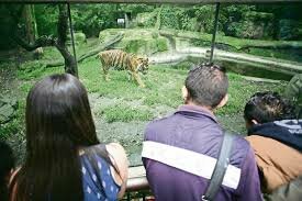 Viajes de Trabajo a México