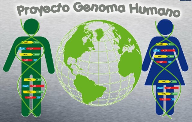 Genoma Humano