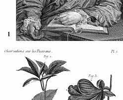 EL SUEÑO AUDAZ DE CHARLES BONET