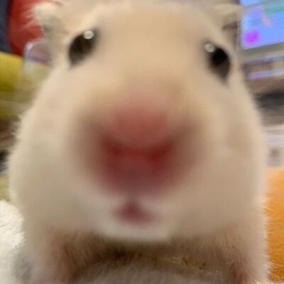 Timeline: mi vida✨