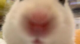 Timeline: mi vida✨