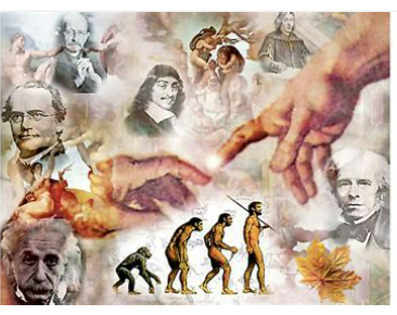 Siglo XVIII División entre las ciencias y la filosofía