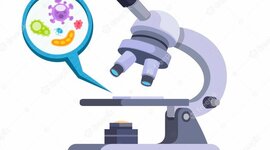 Timeline: La historia del microscopio