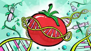 First Plant Genome Sequenced