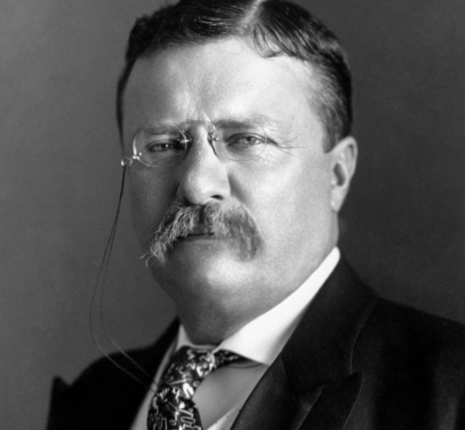 Teddy Roosevelt elected president