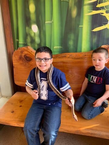 My first time going to a petting zoo