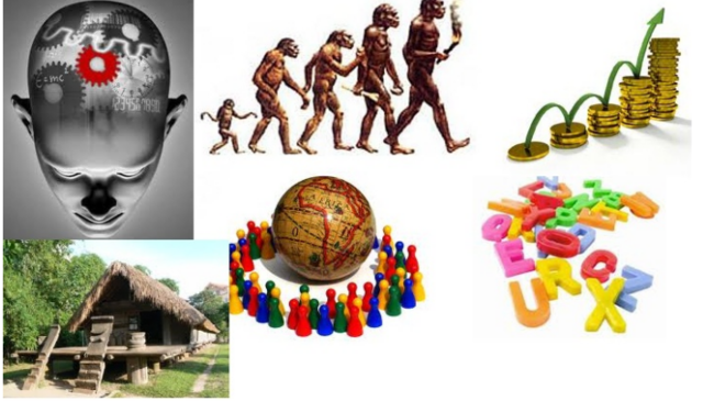 Siglo XIX El triunfo de la ciencia fue consagrado por la lingüística.