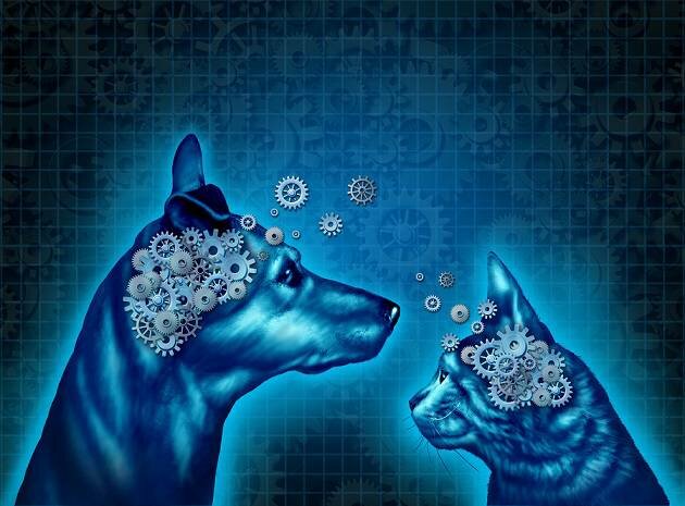 PSICOLOGIA ANIMAL Y GENETICA