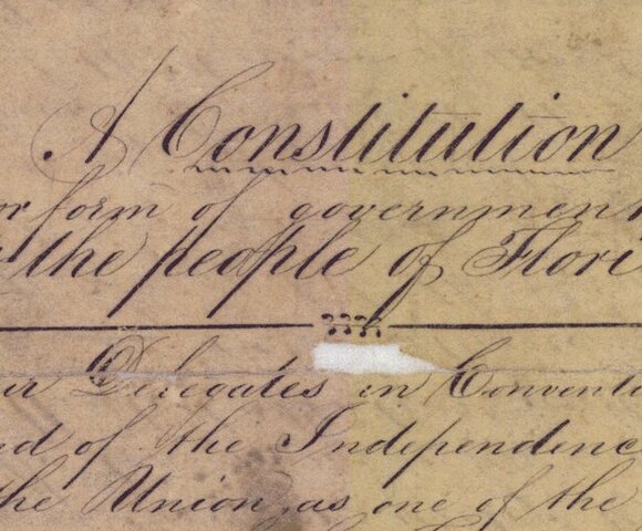 the constitution of 1838