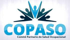 Creación del COPASO
