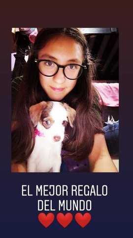 Me regalaron a mi perrita Minnie