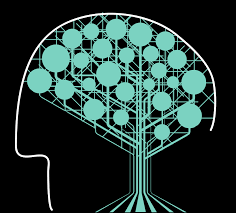 Regreso de las redes neuronales