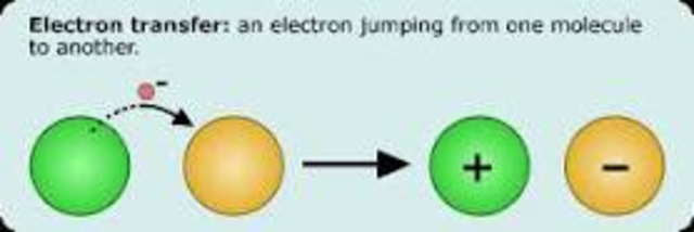 Rudolph Marcus 1923-