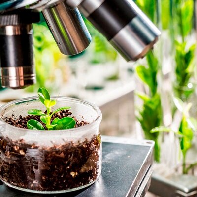 Timeline: Historia de la Fitopatología