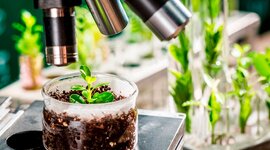 Timeline: Historia de la Fitopatología