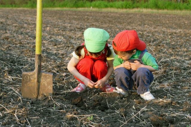 Reglas y Primeras tareas