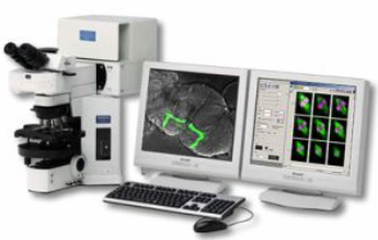 Microscopio confocal (Marvin Minsky)