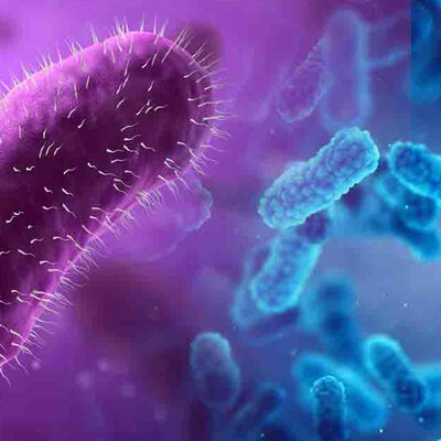 Timeline: Acontecimientos importantes en el desarrollo de la microbiología