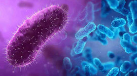 Timeline: Acontecimientos importantes en el desarrollo de la microbiología