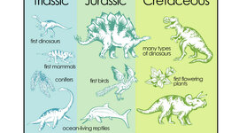 Timeline: Geokronoloogiline skaala Liiz-Beth E
