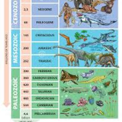 Timeline: Geokronoloogiline skaala Kristel G2E