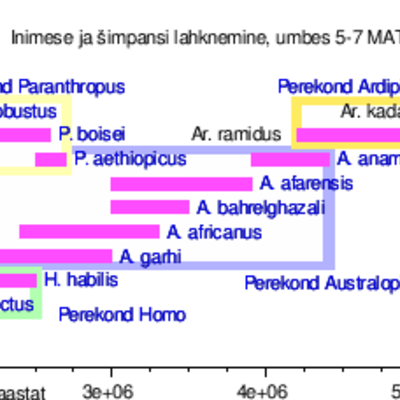 Timeline: Geokronoloogiline skaala Polina G2E