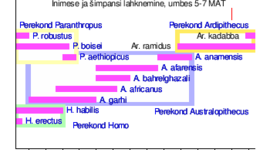 Timeline: Geokronoloogiline skaala Polina G2E
