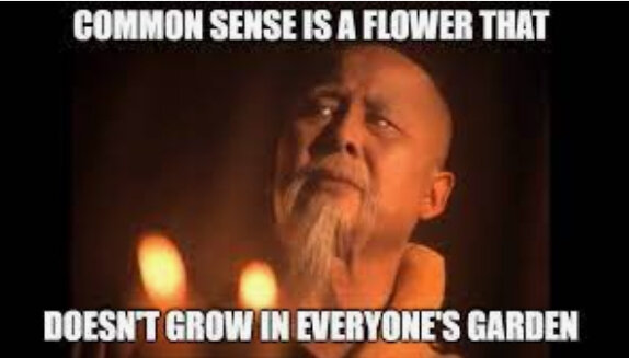 Common sense