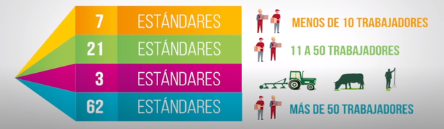 RESOLUCION 0312 DEL 2019