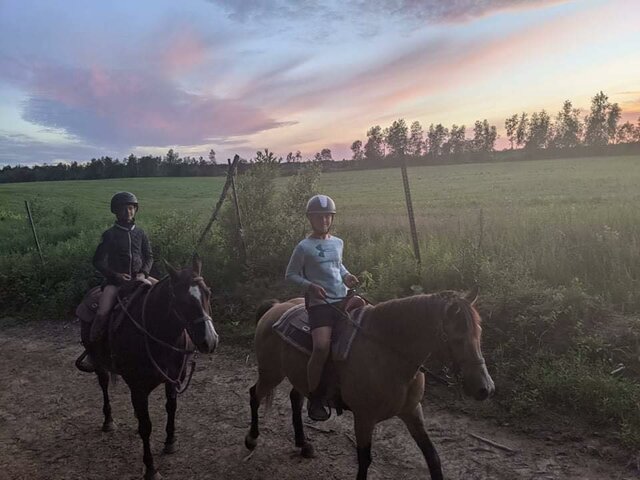 Début en Équitation