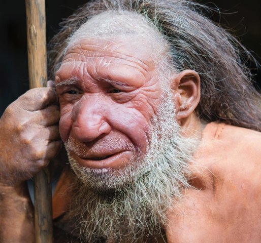 Neanderthal / paliolithic time
