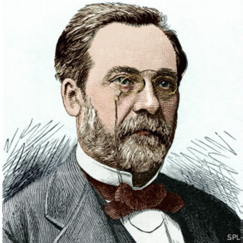 Louis Pasteur (1822-1895).