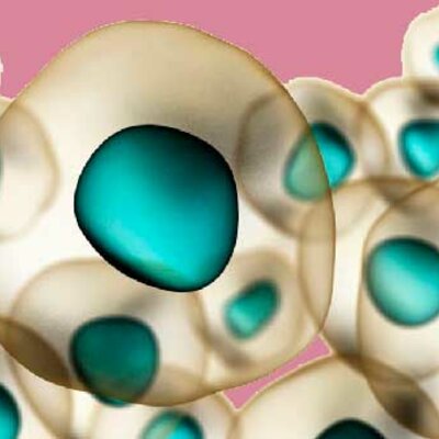 Timeline: EVOLUCION CELULAR Y EVOLUCION DE LOS SERES VIVOS