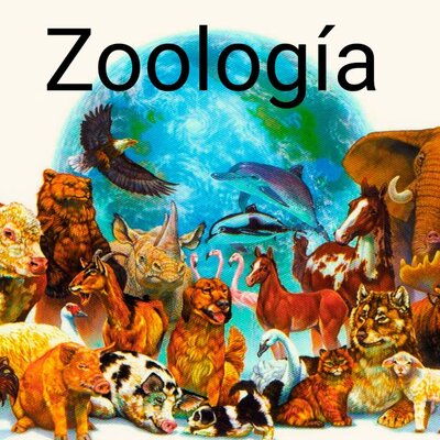 Timeline: LINEA DE TIEMPO DE LA ZOOLOGIA.