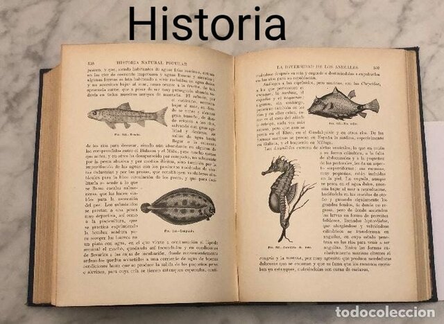 HISTORIA
