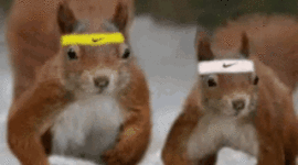 Timeline: ma vie a mwa