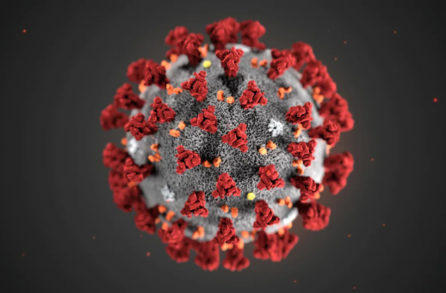 COVID -19/ CORONAVIRUS