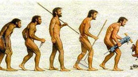 Timeline: Línea del tiempo humanidad.