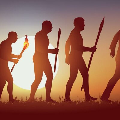 Timeline: Proceso de homonizacion