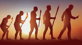 Timeline: Proceso de homonizacion