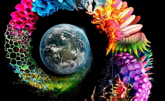 vida en los continentes