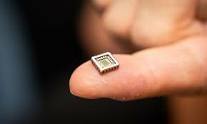 El chip