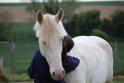 premiere demie pension