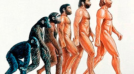 Timeline: Desarrollo de la humanidad