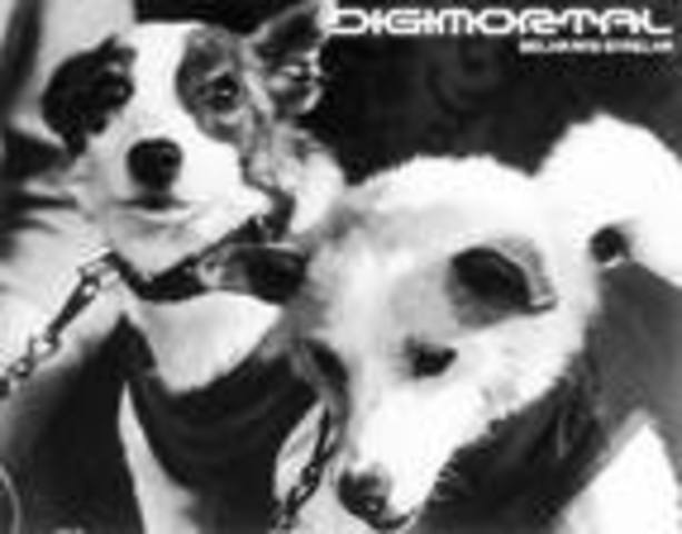 совершён первый в истории орбитальный полёт в космос живых существ с успешным возвращением на Землю. На корабле «Спутник-5» орбитальный полёт совершили собаки Белка и Стрелка. (СССР).