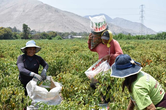 Comunidades rurales y campesinas-Decreto 327