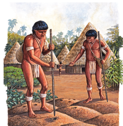 Siembra