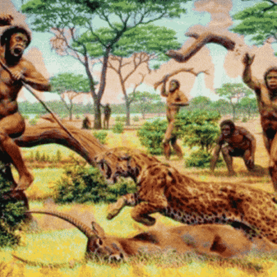 Timeline: De animales a dioses