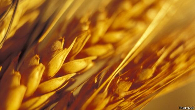 Saliva reforzada para comer carbohidratos