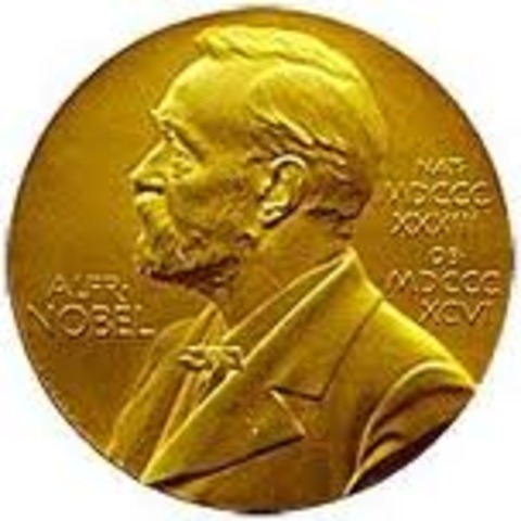 Hon fick nobellpriset i litratur